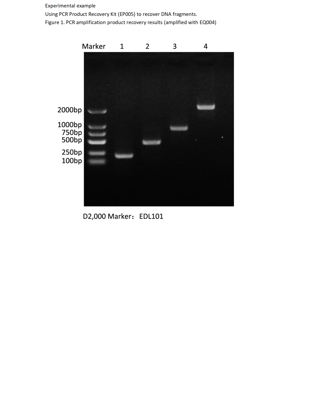EP005 PCR产物回收试剂盒_01.png